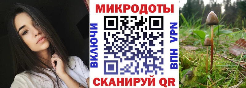 Псилоцибиновые грибы Cubensis  Кстово 